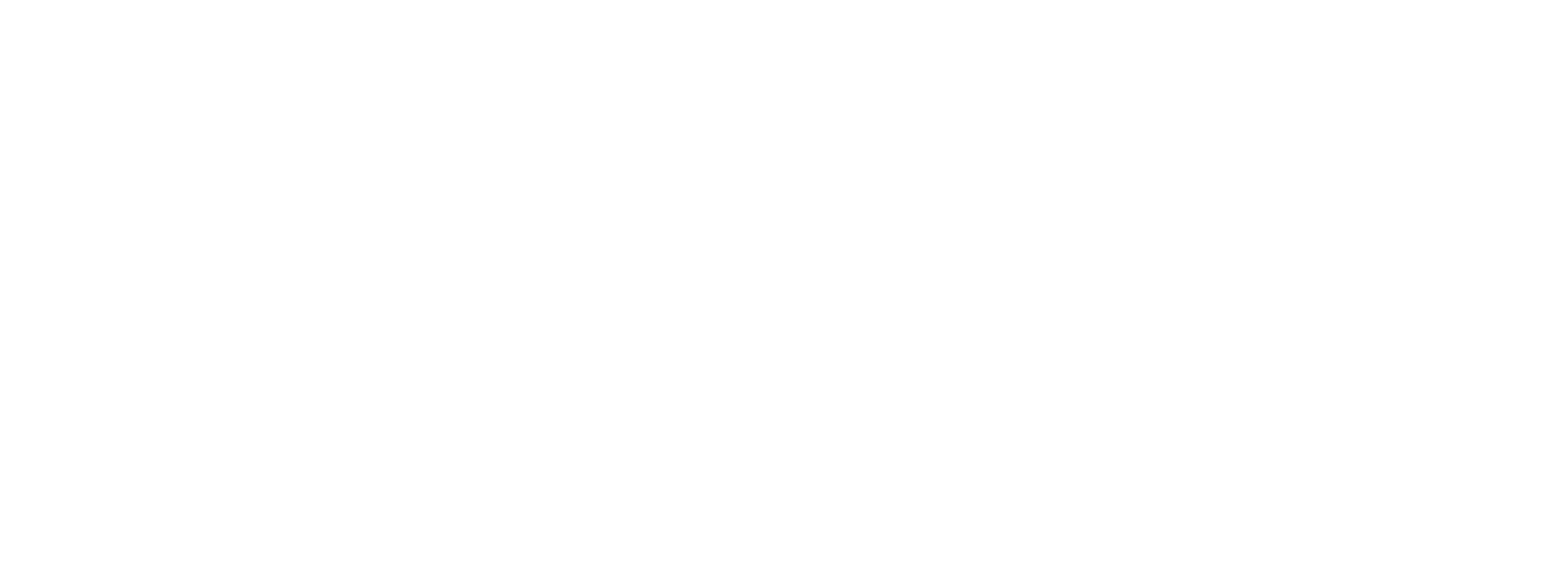 Logo - Universidade Twygo